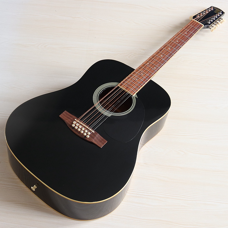 Stock 12 String Electric Acous - Dobro Resonator Guitar review and price