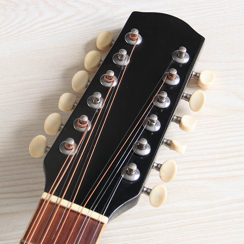 Stock 12 String Electric Acous - Dobro Resonator Guitar review and price