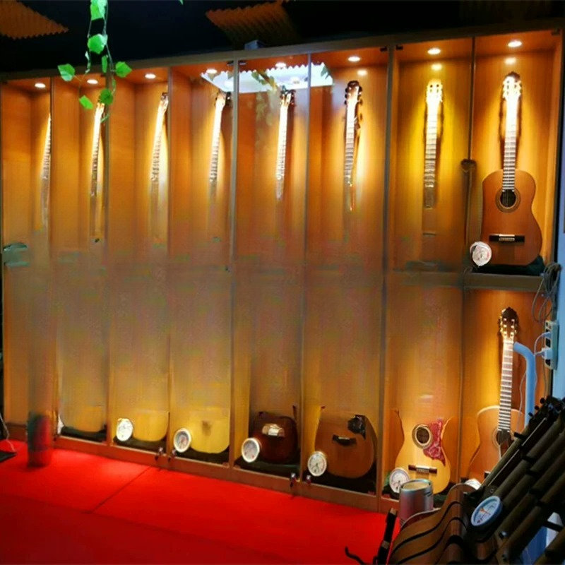 Music Store Musical Instrument - Musical Instrument Glass review and price