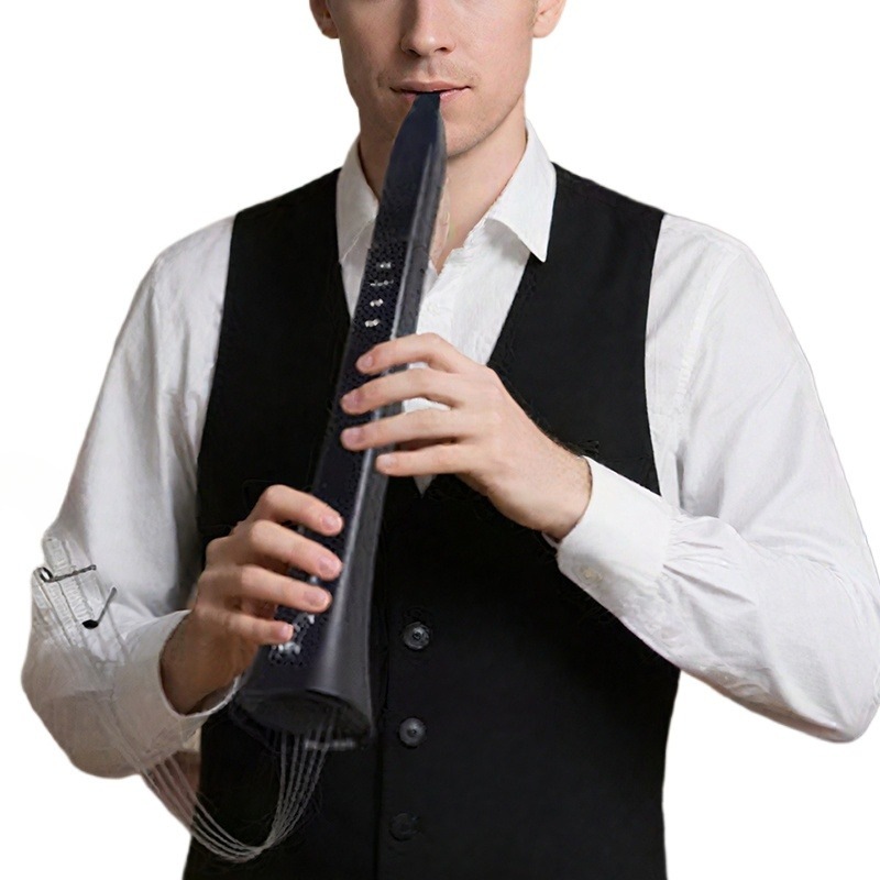 Portable Electronic Wind Instr - Musical Instrument ____ review and price