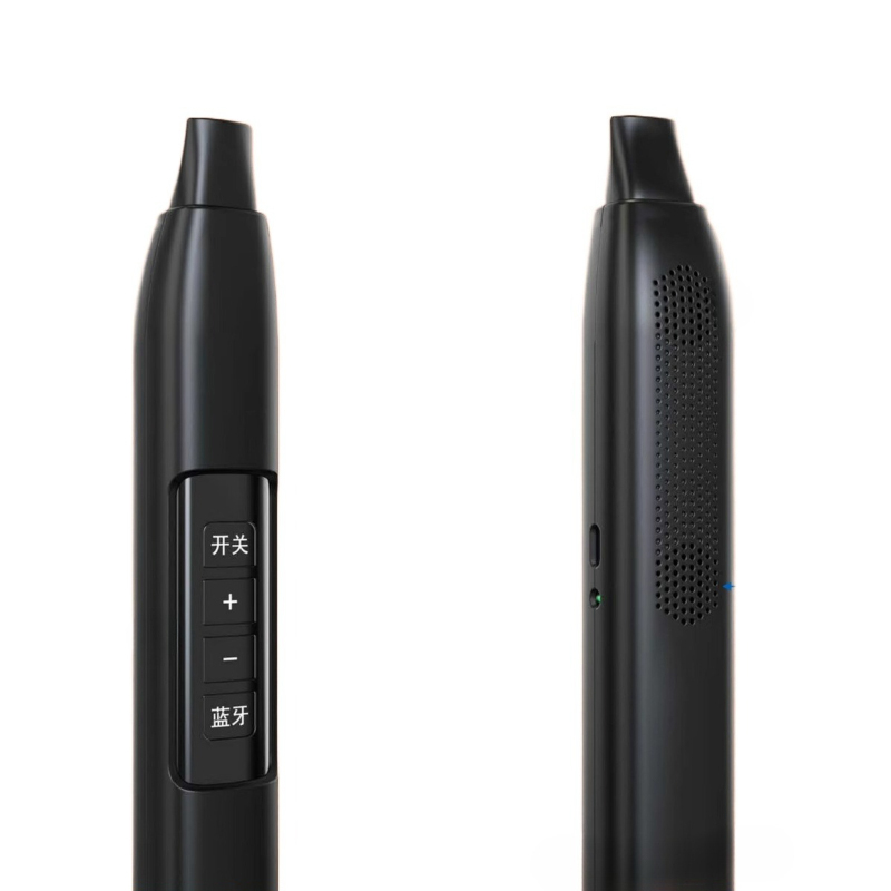 Portable Electronic Wind Instr - Musical Instrument ____ review and price
